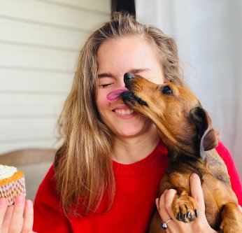 Jeune teckel lèche le nez d'une jeune fille en pull rouge