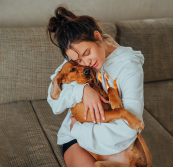 Rassurer son chien le soir du nouvel an