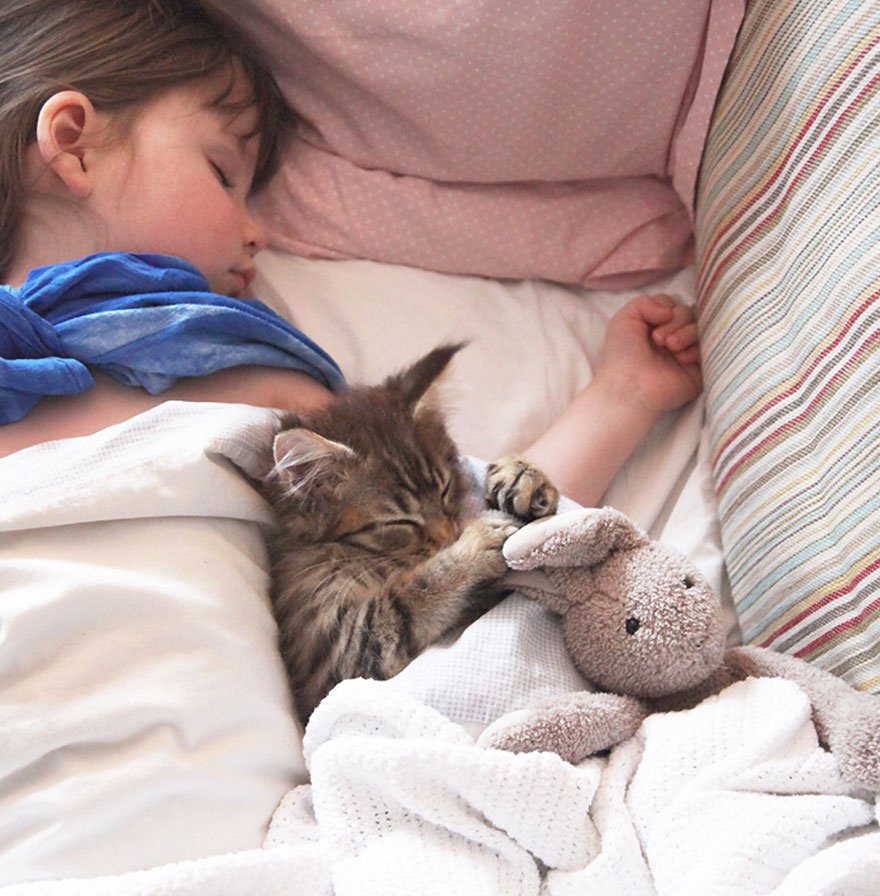 Iris Et Thula Une Jeune Fille Autiste Et Un Chat De Therapie Animaux Sante