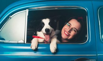 15 conseils pour voyager en voiture avec son animal !