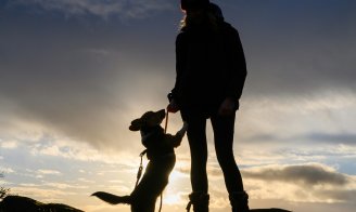 Les propriétaires de chiens sont en meilleure santé